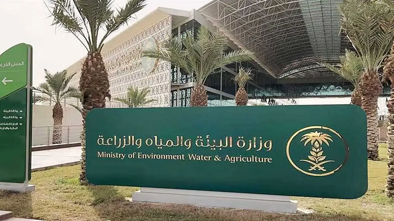 الشركات الزراعية.. البيئة تفتح باب الانضمام للدورة الثامنة للجنة منتجي البذور